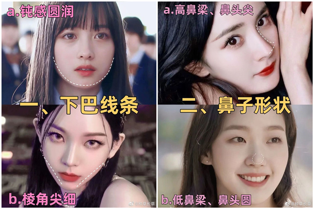 彩妝妝容分析分享：自測動物系長相？