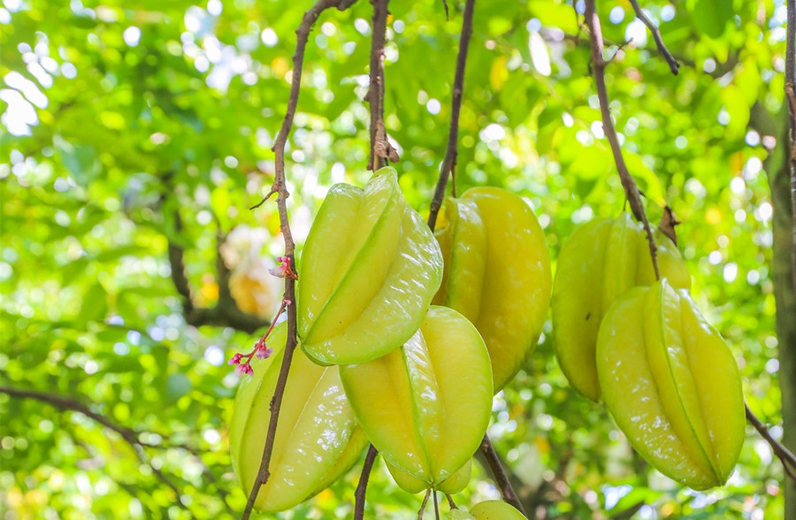 廣西美容護(hù)膚養(yǎng)顏班：春天吃什么水果好？