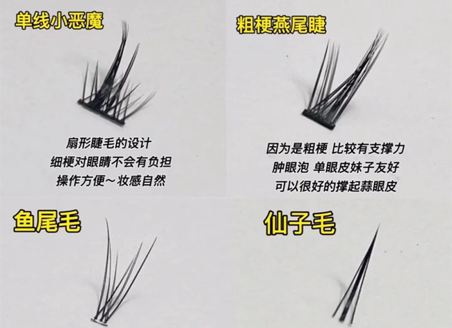 假睫毛科普知識，廣西化妝基礎