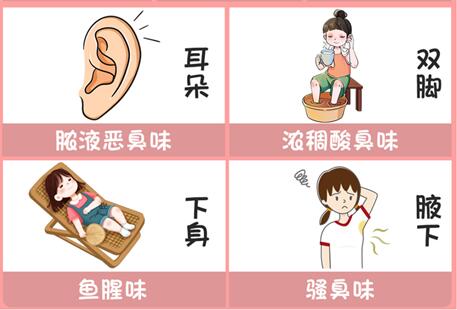 體味重的部位和緩解方法，廣西美容美體專業(yè)介紹