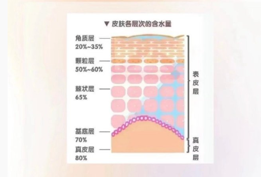 皮膚越補水越干？廣西美容護膚中心分析原因